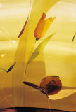 Aster Etoile Prints by Sera Valls 