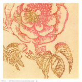 Coral Rose Poster af Swan Papel
