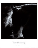 Mane Posters par Tony Stromberg