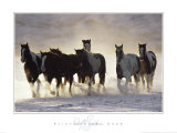 Paints in the Snow Posters par David R. Stoecklein