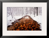 Autumn Passage Print by Jim Brandenburg