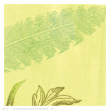 Feather Leaf Print by Swan Papel