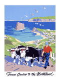 Furness North Land Cruises Giclee Print by Adolph Treidler
