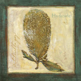 Hydroide Poster par Jillian David
