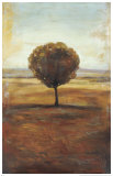Solitaire I Art by Jill Barton