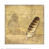Owl Feather Posters by Susan Friedman