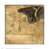 Goldfinch Wing Prints by Susan Friedman