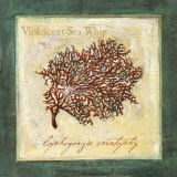Violescent I Láminas por Jillian David