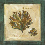 Hornwrack Affiches par Jillian David