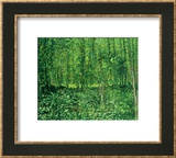 Woods and Undergrowth, 1887 Stampe di Vincent van Gogh Woods and Undergrowth, 1887 Stampe di Vincent van Gogh