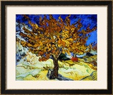 Mulberry Tree, 1889 Posters by Vincent van Gogh