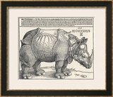 The Indian Rhinoceros is the Largest of the Asian Spiecies Print by Albrecht Dürer