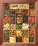 Spices Prints