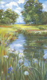 Pond Limited Edition by Carol Rowan
