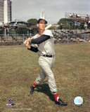 Ted Williams Photo