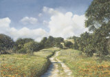 Enchanted Valley Limited Edition by Paul Fortis Enchanted Valley Limited Edition by Paul Fortis