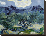Olive Trees, 1889 Stretched Canvas Print by Vincent van Gogh