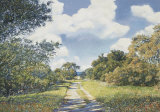 Path Through the Forest Limited Edition by Paul Fortis