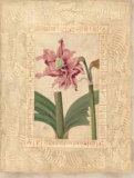 Estudio de Flores II Prints by Javier Fuentes