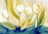 Giant White Tulips Posters by Alfred Gockel