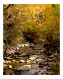 Colorado Stream Photographic Print by Vic Harshberger