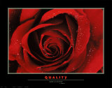 Qualidade Posters