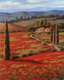 Red Poppy Field Kunstdrucke von Sung Kim