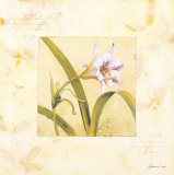 Lilas Composicion III Kunst af Atenea