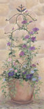 Trellis Vines II Plakater af Carol Saxe Trellis Vines II Plakater af Carol Saxe