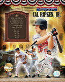 Cal Ripken Jr. Photo