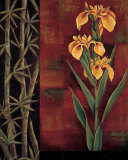 Yellow Iris Poster by Jill Deveraux