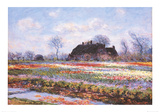 Tulip Fields at Sasenheim Poster by Claude Monet