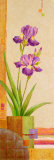 In the Garden IV Prints by Pamela Gladding