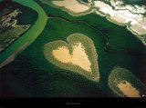 Coeur de Voh Posters by Yann Arthus-Bertrand