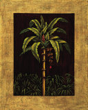 Tropical Paradise II Prints by Samuel Blanco