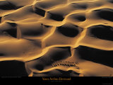 Dromadaires I Prints by Yann Arthus-Bertrand