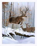 Leaping Deer Posters af Robert Travers