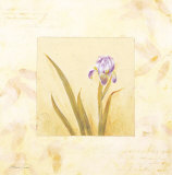 Lilas Composicion III Posters by Atenea 