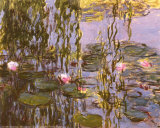 Waterlilies Poster by Claude Monet