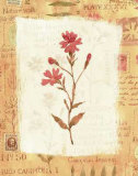 Fleurs avec motifs Affiches par Vicki Bowman