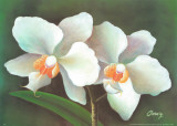 Flores Oscuro I Prints by Cruz 