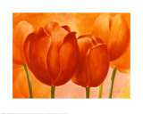 Tulipes couleur pêche Posters par Susanne Bach