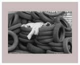 Dog Tired Prints