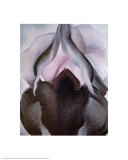 Black Iris, 1906 Print by Georgia O'Keeffe