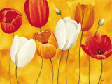 Festa di Tulipani Art by Maria Grazia Luffarelli Festa di Tulipani Art by Maria Grazia Luffarelli