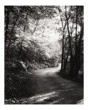 The Road Taken Photographic Print by Jenphotoart 
