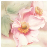 Anemone Tomentosa Affiches par Annemarie Peter-jaumann