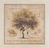 Mimosas du Lavandou Lámina por Pascal Cessou Mimosas du Lavandou Lámina por Pascal Cessou