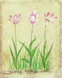 Rosy Tulips 2 Arte por Debra Lake Rosy Tulips 2 Arte por Debra Lake