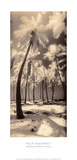 Palm Shadows I Affiches par Susan Friedman